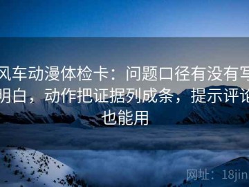 风车动漫体检卡：问题口径有没有写明白，动作把证据列成条，提示评论也能用