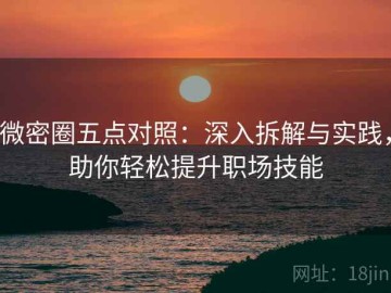 微密圈五点对照：深入拆解与实践，助你轻松提升职场技能