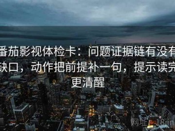 番茄影视体检卡：问题证据链有没有缺口，动作把前提补一句，提示读完更清醒