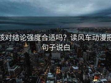 核对结论强度合适吗？读风车动漫把句子说白