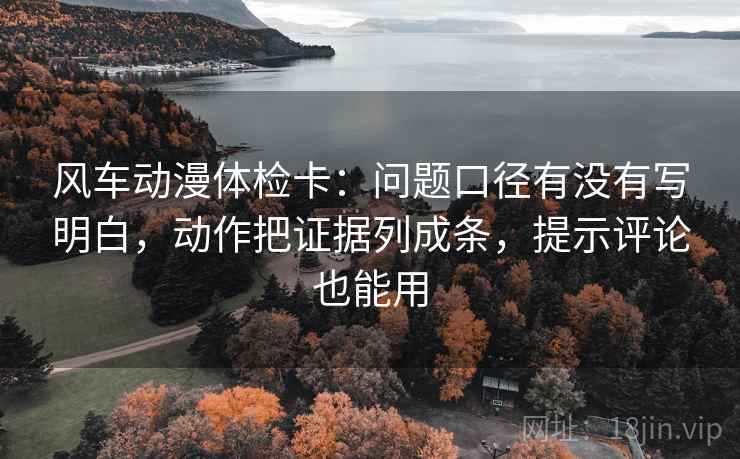 风车动漫体检卡:问题口径有没有写明白,动作把证据列成条,提示评论也能用 风车动漫体检卡:问题口径有没有写明白,动作把证据列成条,提示评论也能用