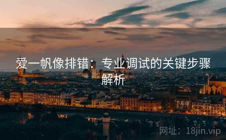 爱一帆像排错：专业调试的关键步骤解析