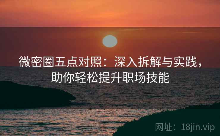 微密圈五点对照：深入拆解与实践，助你轻松提升职场技能